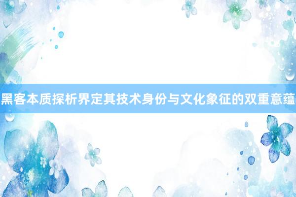 黑客本质探析界定其技术身份与文化象征的双重意蕴